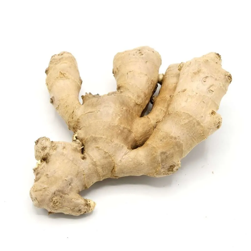 Ginger
