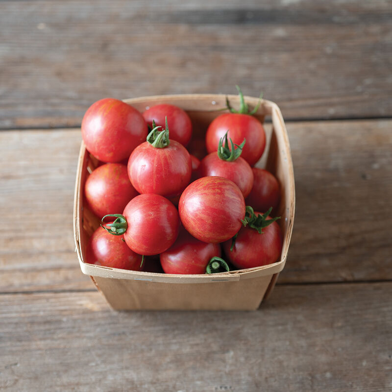 Tommato-cherry