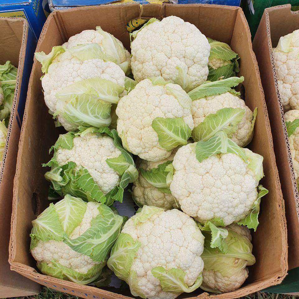 Cauli flower